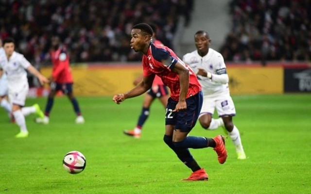 依赖对方的 依赖对方的