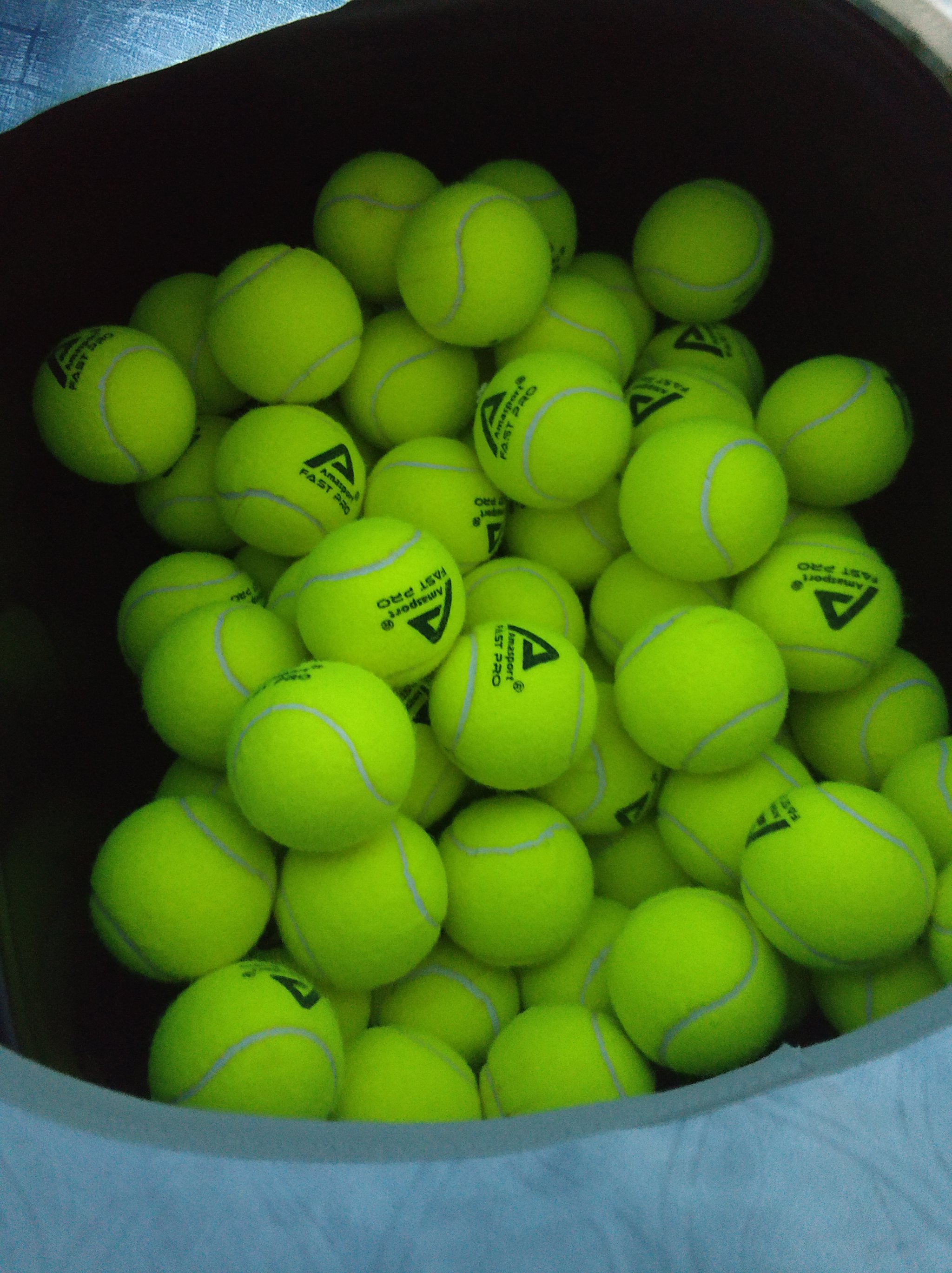 上海德比的 上海德比的