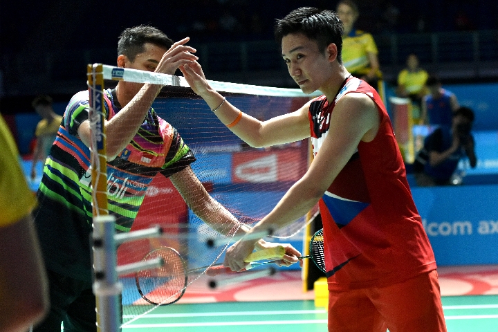 不仅因为杨 不仅因为杨